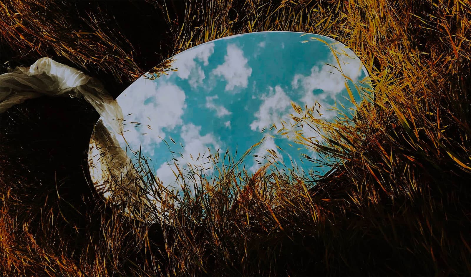 A mirror in the grass showing a reflection of the sky
