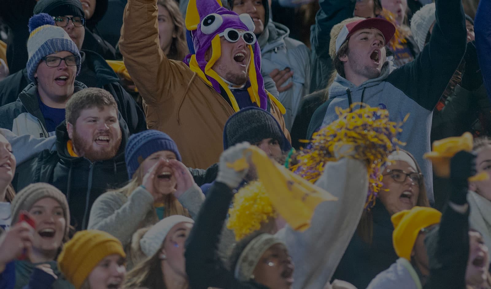Sports fans in a stadium cheering on a team